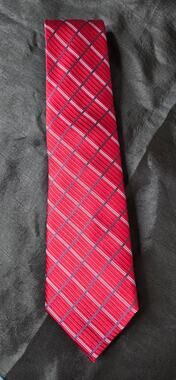 Eagle Shirtmakers Mens Silk Tie